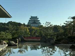 アール・ヌーヴォーを代表する芸術家・ミュシャが日本で愛される訳、版