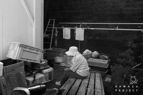 ◎出羽島の何げない日常（写真：木村肇）