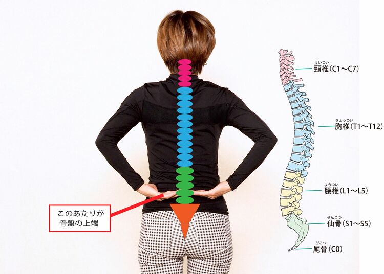 写真ギャラリー2枚め｜デスクワークで固まった背中「座ったまんま」で