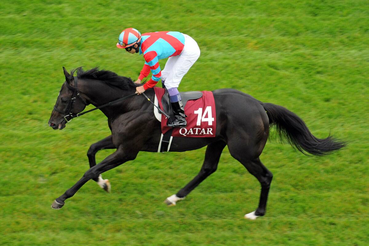 石*幸様 キズナ 絆 競馬 ブルゾン 非売品 厩舎 JRA 武豊 凱旋門賞 石*幸様 キズナ 絆 競馬 ブルゾン 非売品 厩舎 JRA 武豊 凱旋門賞