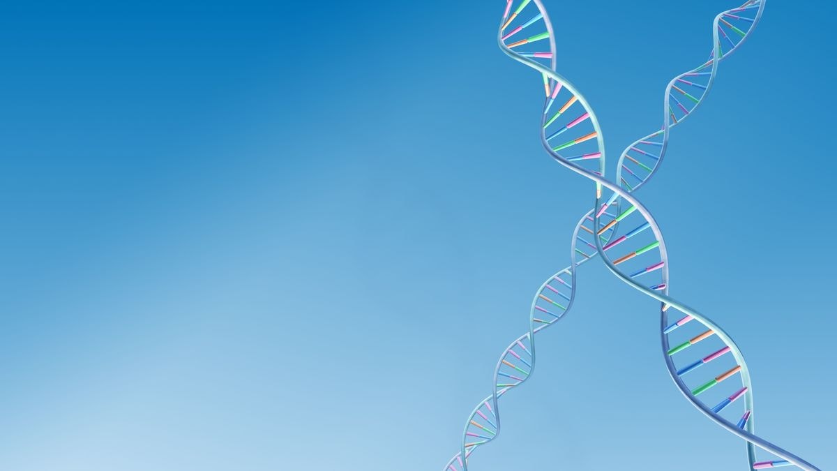 遺伝子＝DNAではない？実は完全にはわかっていない「遺伝子とは何か」 メンデルの法則からワトソン・クリックの発見、「オランダ飢餓の冬」まで(1