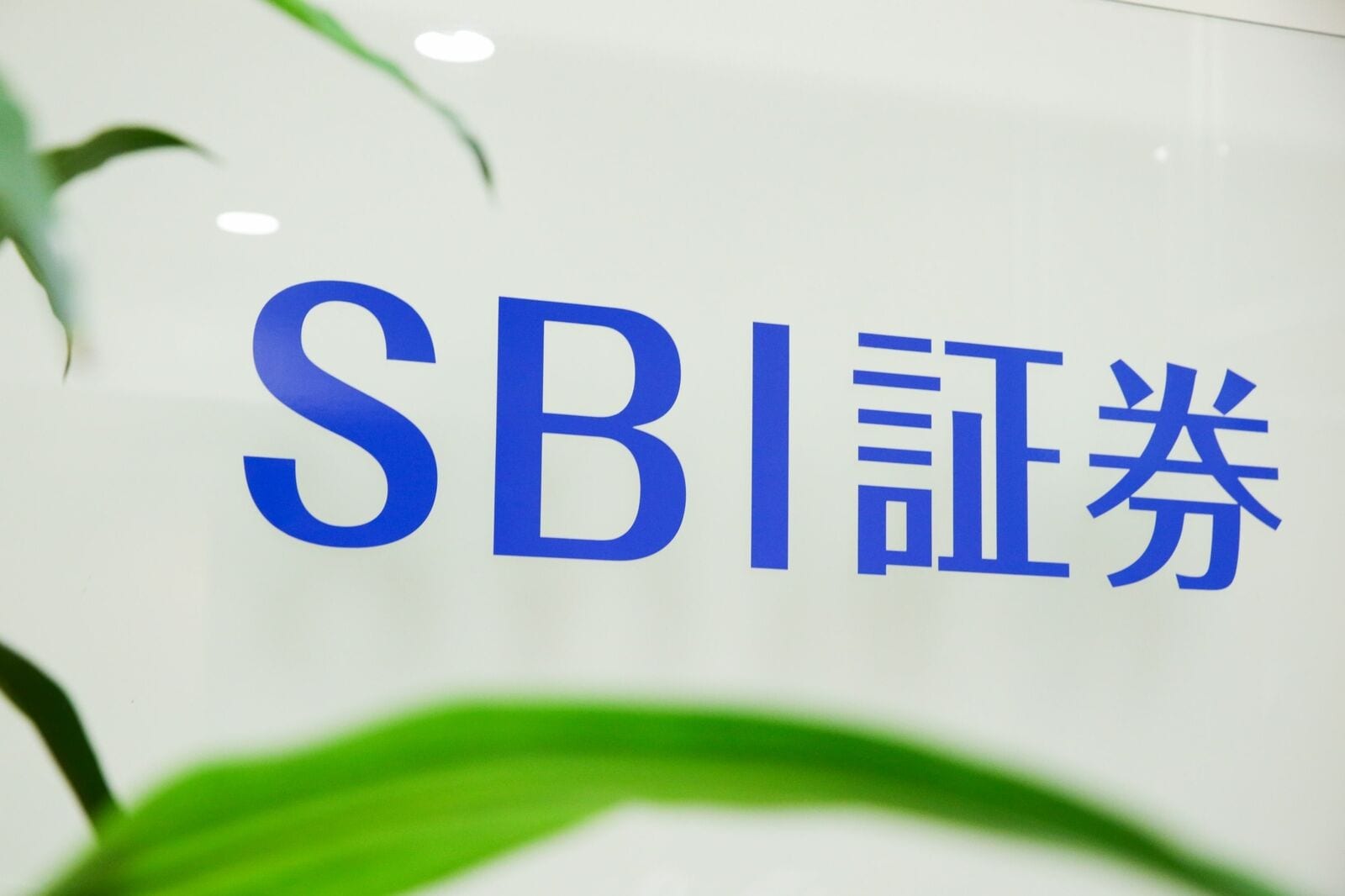 オンライン証券市場で預かり資産トップに立ったSBI証券、勝因はマーケターの中で「下策」とされていた戦略だった | Japan Innovation  Review powered by JBpress
