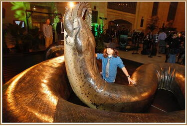 img_a33ceaf7397821a06fe1bb5b2b