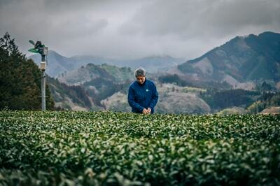 圧」がすごい、稀有な女性画家・三岸節子の自画像 知られざる日本の
