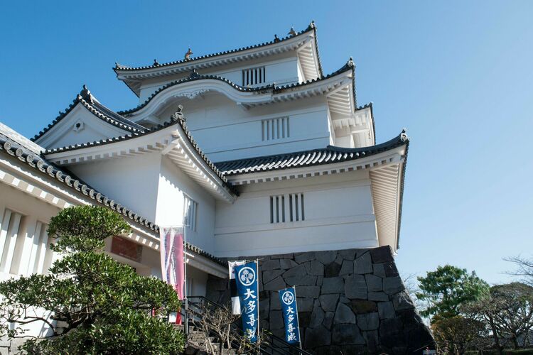 写真ギャラリー4枚め｜『どうする家康』徳川四天王・本多忠勝の生涯