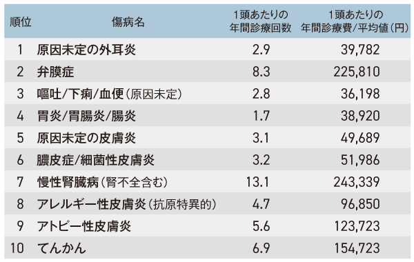 犬の保険金請求理由と診療費