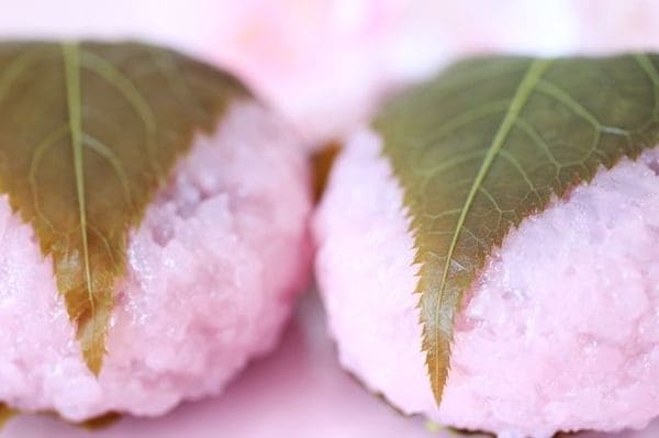 1枚の葉をここまで食卓の華にしてしまう日本人 桜餅にもみじ天ぷら 食を彩る季節の葉っぱ 1 4 Jbpress ジェイビープレス