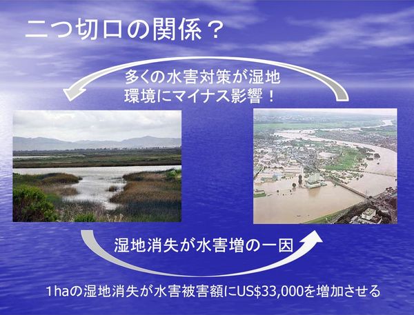 湿地 河川流域保全のため現場重視の環境 経済 社会の学融合研究