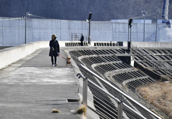 東北各地の沿岸にできた防潮堤。町の景色は大きく変わった（写真：共同通信社、以下同）