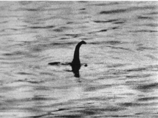 ネッシーを探し出せ、まもなく始まる捜査は大真面目 プレシオサウルス