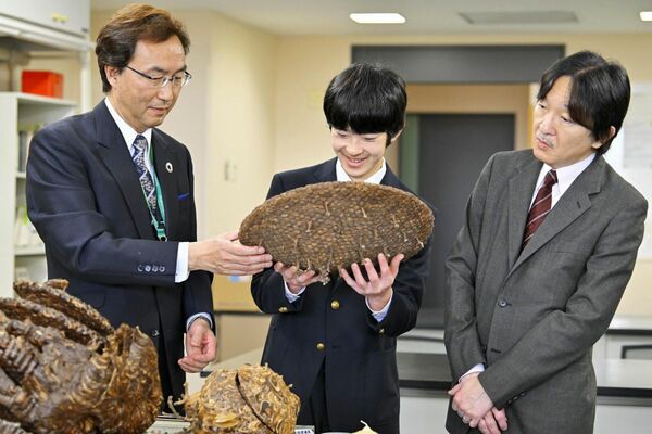 玉川大農学部の昆虫を研究する施設を視察される秋篠宮さまと悠仁さま（2024年4月）