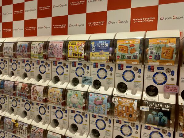 ドリームカプセル