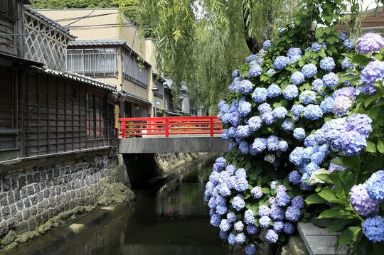 なぜ「通商」ではなく「和親」だったのか？決して弱気ではなかった幕府外交