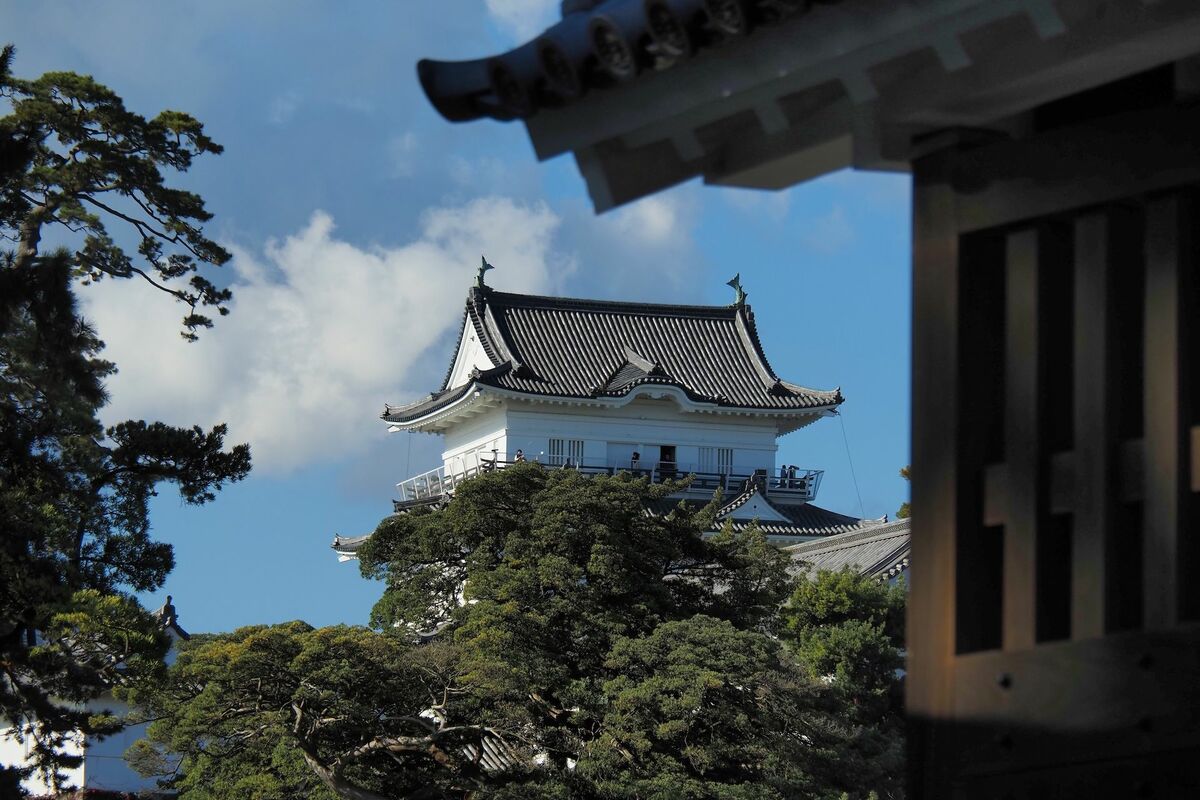 初見では見逃しがち、小田原城の本当の見どころとは？石垣、天守の裏