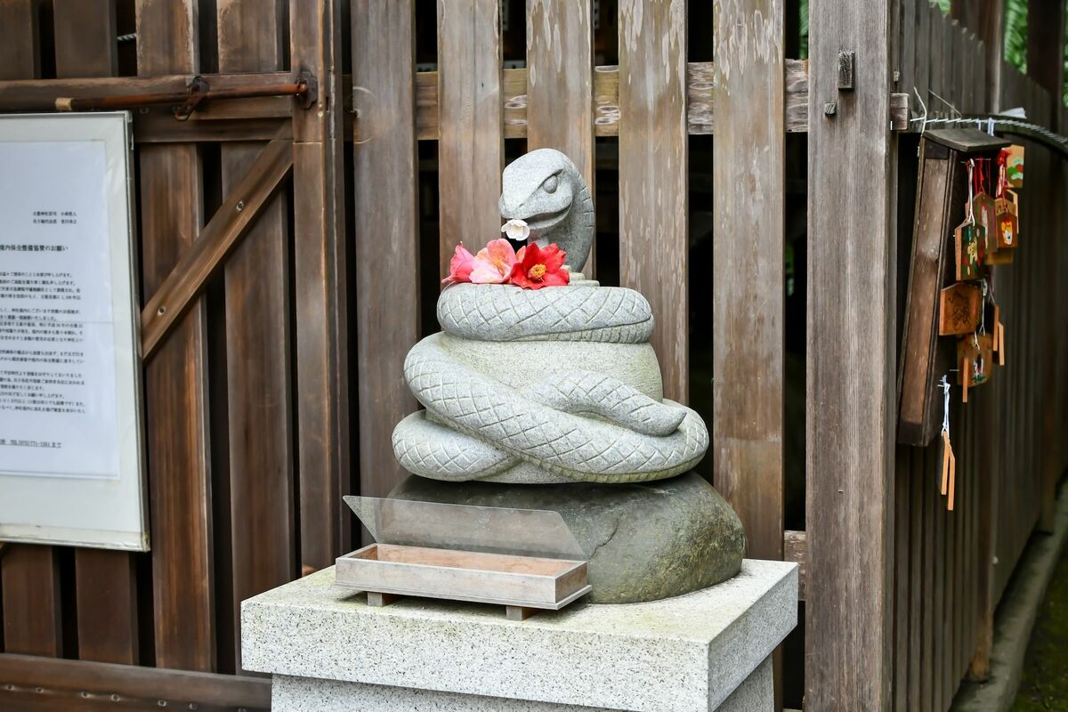 蛇　巳年　シマヘビ全長100cm 抜け殻　破れなし　商売繁盛　寿　運気上昇　金運 蛇巳年シマヘビ全長100cm 抜け殻破れなし商売繁盛寿運気上昇金運