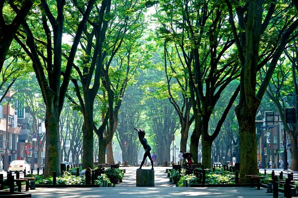 仙台市の定禅寺通り（写真：卓也 本郷 – stock.adobe.com）