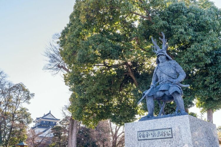 写真ギャラリー5枚め｜『どうする家康』徳川四天王・本多忠勝の