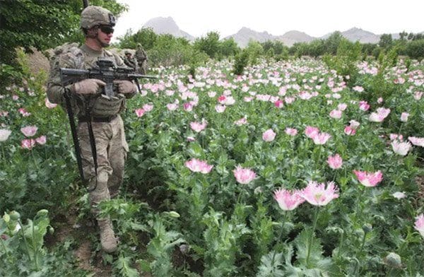 戦場カメラマン・渡部陽一が見た、アフガニスタンの「ケシ畑」 タリバーンが実権を握って約1年が経過したアフガニスタンの今とは？(2/4) |  JBpress (ジェイビープレス)