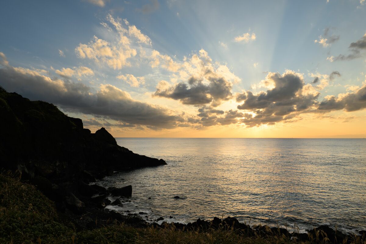 大島発「サスティナブルな島おこし」島の未来を語り合うツアーの大きな可能性 JBpress (ジェイビープレス)