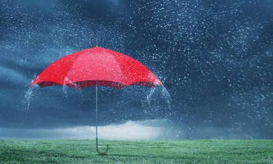 リスクをかわす