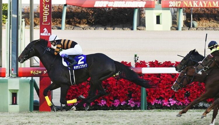 2022有馬記念ポスター｜日本サイン競馬会