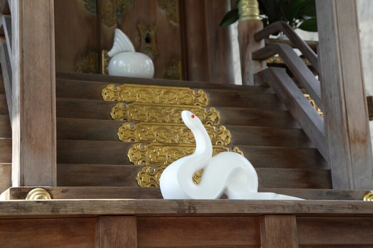 写真ギャラリー2枚め｜白蛇日本三大聖地や日本最古の神社…「巳年