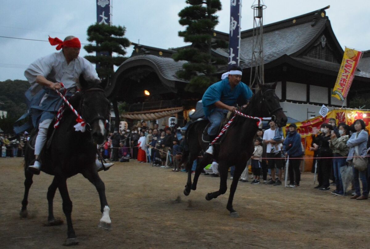 写真ギャラリー10枚め｜2026年はうま年！初詣にもおすすめ「馬（午）」にまつわる神社10選 神聖な存在として崇めらてきた動物、勝負運、金運 ...