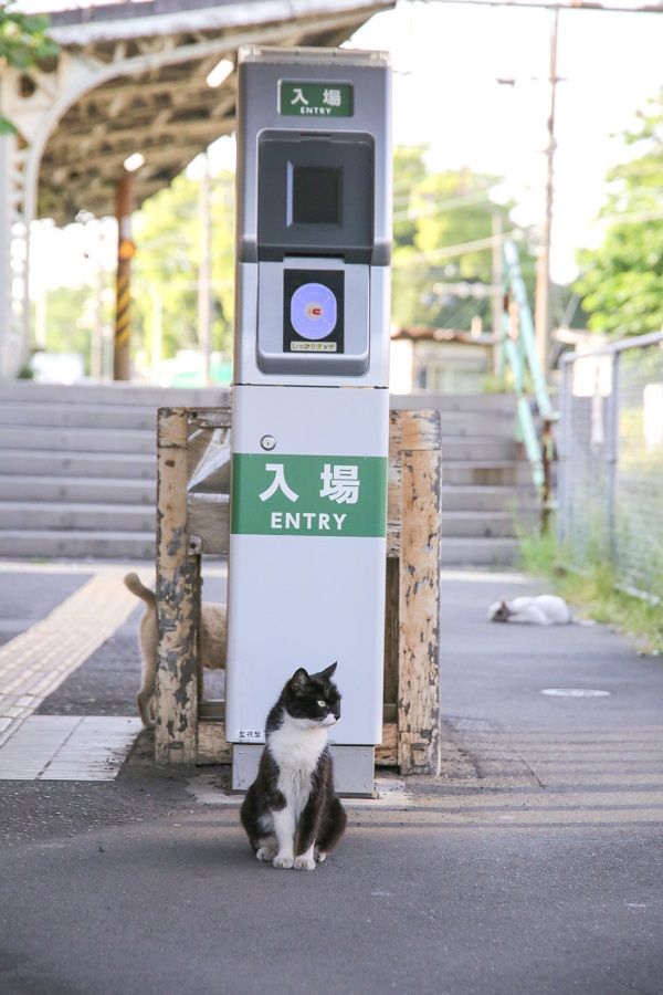 QRコードで電車」は便利か、JR東日本が始める新たな取り組みの可能性