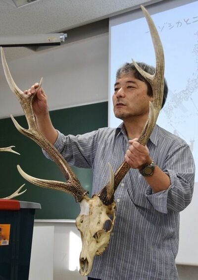 立澤 史郎（たつざわ・しろう）

1959年大阪生まれ。高校教員を経て京都大学大学院理学研究科博士課程修了（理博）。専門は保全生態学・環境科学教育。現在、北海道大学文学研究院特任助教、奈良のシカ保護管理計画検討委員、IUCN-SSC（世界自然保護連盟-種の保存委員会）シカ類専門家グループ委員、ロシア北東連邦大学招聘教授。屋久島世界自然遺産科学委員など歴任。子供の頃から奈良のシカに親しむ。1987年「なら・シルクロード博覧会」を機に「｢奈良のシカ｣市民調査会」を結成し市民によるシカ調査を継続（10年）。奈良にシカ博物館を作るのが夢。