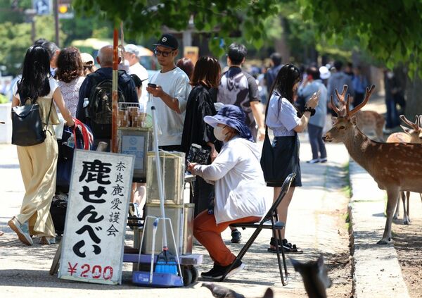 奈良公園。鹿に乱暴に接する観光客もいるという（写真：時事通信社）