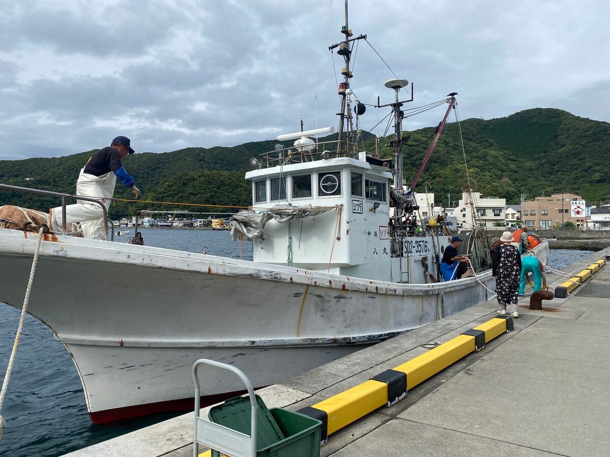 静岡県戸田の特産「タカアシガニ」を襲う駿河湾の異変、わずか5年で