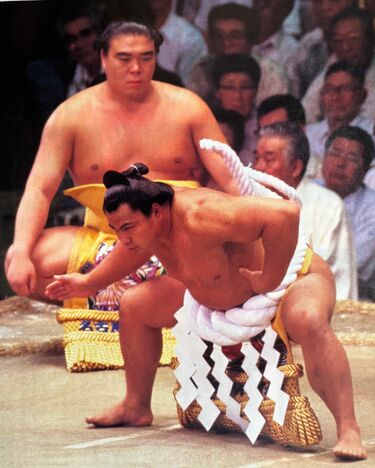 大相撲 雲龍型不知火型 千代の富士 北の湖 紅白まわし オブジェ 写真ギャラリー1枚め|【マスコミが報じない大相撲】新横綱・大