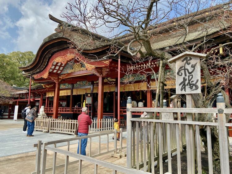 写真ギャラリー10枚め｜3年間だけの特別な建築「太宰府天満宮 仮殿