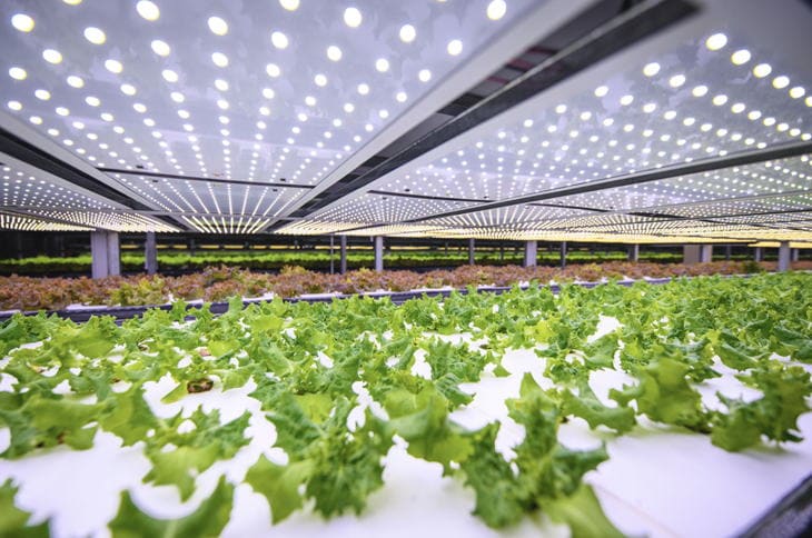 世界で盛り上がるフードテック、サステナブル都市型農業の最先端