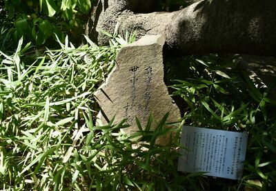 古書　希少本　日本植物編　矢田部良吉著 お得セット 古書 希少本 日本植物編 矢田部良吉著 語学・辞書