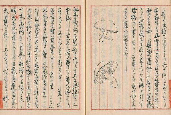 日本のきのこを変えた「瓶で育てる」技術革新 きのこ栽培の昔と