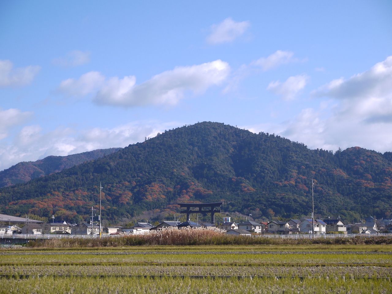 公の場での発言・インタビュー報道記録