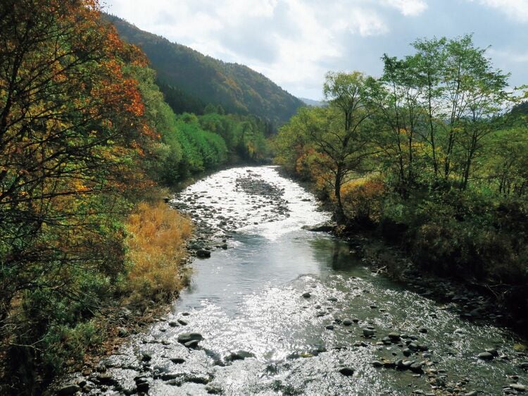 写真ギャラリー1枚め｜かわいくていとしい、そしてせつない「みちのく