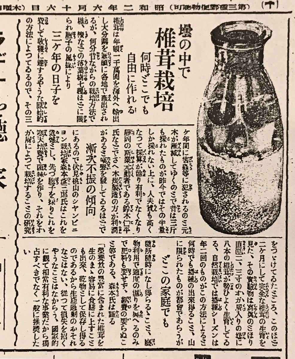 店舗良い 日本のきのこを変えた「瓶で育てる」技術革新 きのこ栽培の昔と その他