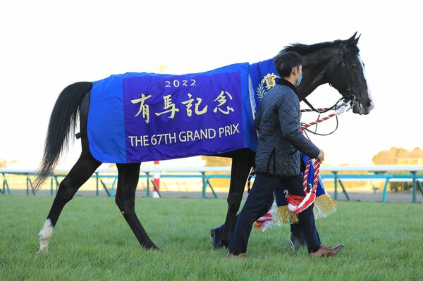 有馬記念」とは？1年を締めくくる熱狂のレース、ファン投票で出走馬を