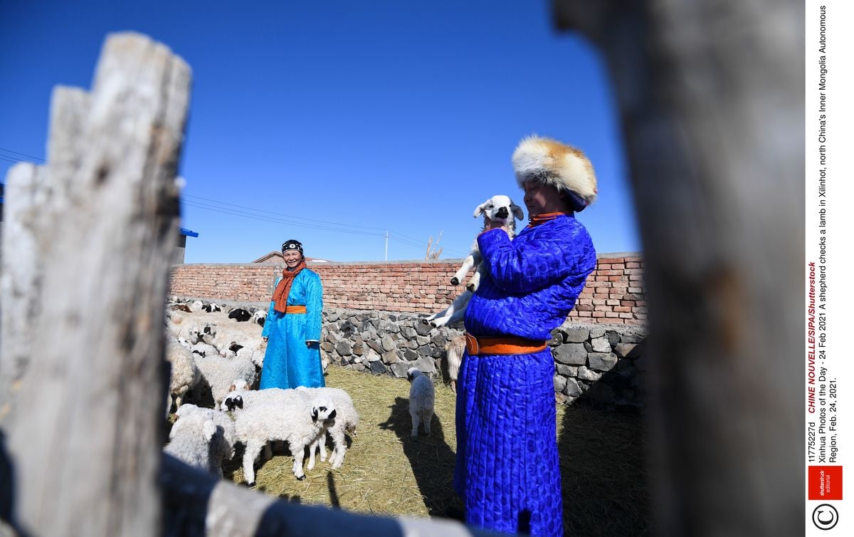 モンゴル語教育激減 中国が内モンゴルで 文化的ジェノサイド 内モンゴルの大草原に吹き荒れる 同化政策 という冷たい風 1 4 Jbpress ジェイビープレス