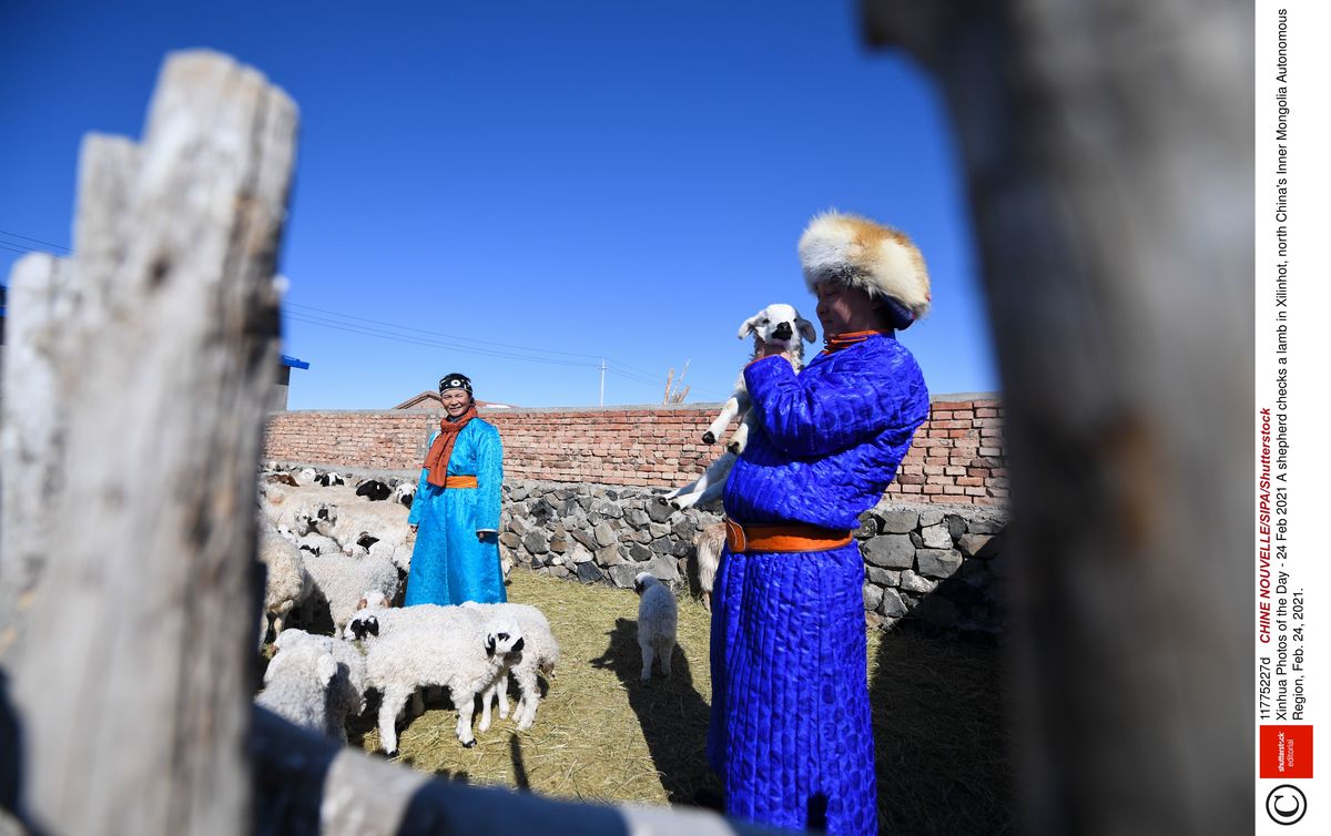 モンゴル語教育激減、中国が内モンゴルで「文化的ジェノサイド」　内モンゴルの大草原に吹き荒れる「同化政策」という冷たい風