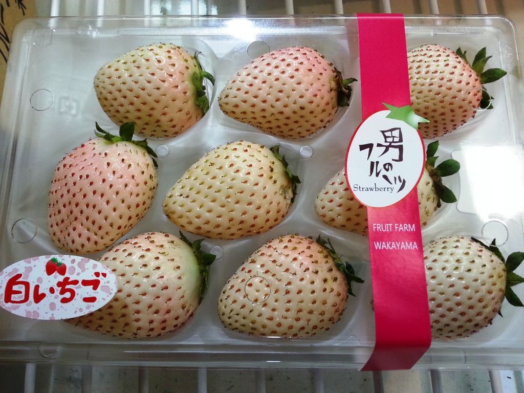 日本から美味しいイチゴを盗んで恥じない韓国 後手に回る農水省 期待は日本の得意技ロボットとai 1 5 Jbpress ジェイビープレス
