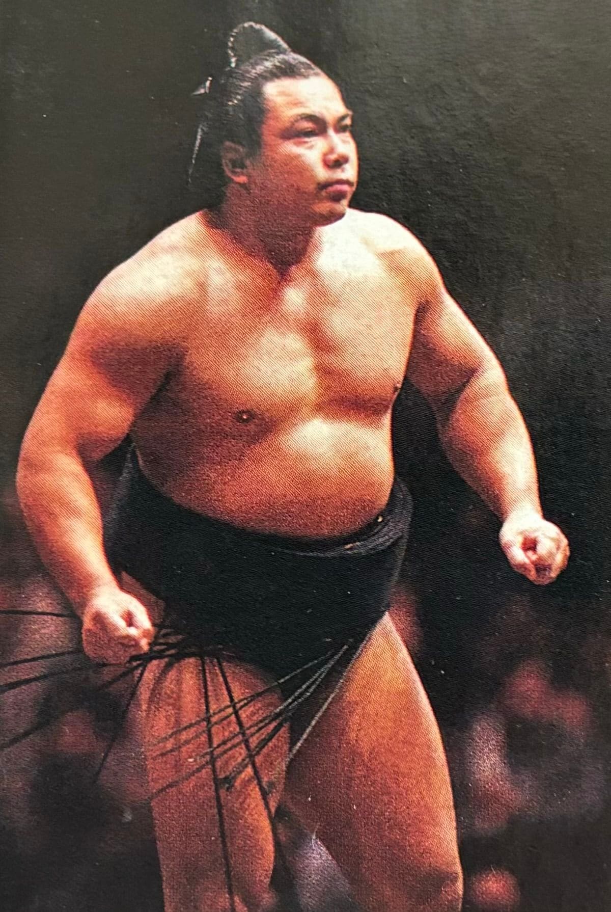 いま37歳の大相撲力士（15人） : 大相撲 佐渡ケ嶽部屋 – GZTEG