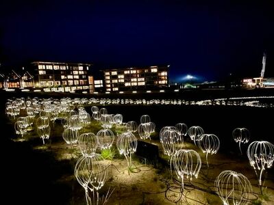 ジョウ・ナイトウ 月光草原 E-D 037 / 200 ジョウ・ナイトウ 月光草原 E-D 037 / 200 ジョウ・ナイトウ 月光草原