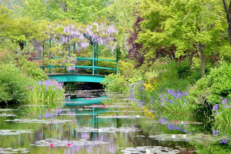 モネの庭」世界で唯一その名を許された高知の庭園 知られざる日本の
