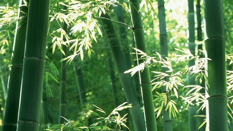 これでは効果薄、医療への再就職支援
