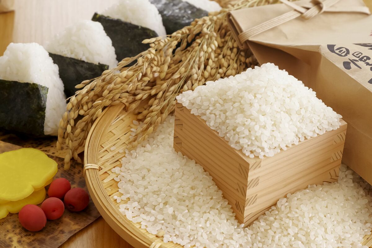 お米を安く売るな！レンコンを1本5000円で売る異色の農家が提言