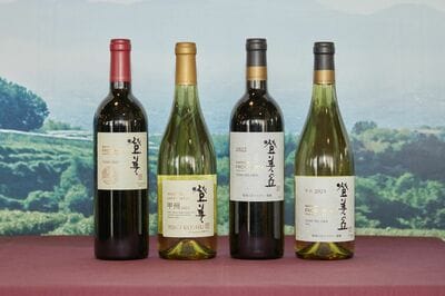 【豪華本】「松井康成 練上作品集 1985-1990」 豪華本】「松井康成 練上作品集 1985-1990」 松井康成練上作品集: