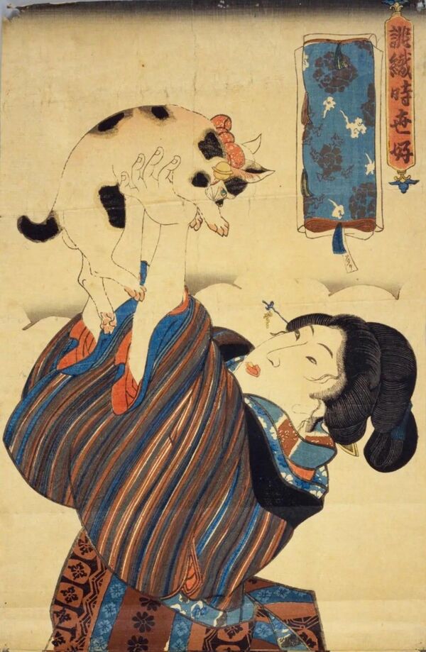 解明された「三毛猫の謎」、オレンジの毛色はどうやって作られるか(3/5